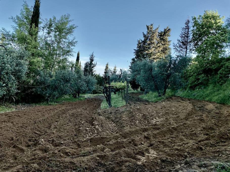 Podere San Giorgio Palaia Bagian luar foto